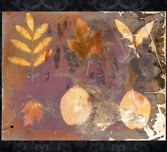 Mark Flanders art constructions chlorophyll photography and alternative processes